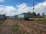 RUMO 9819